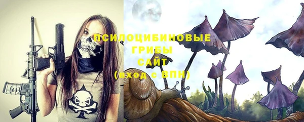 бошки Беломорск