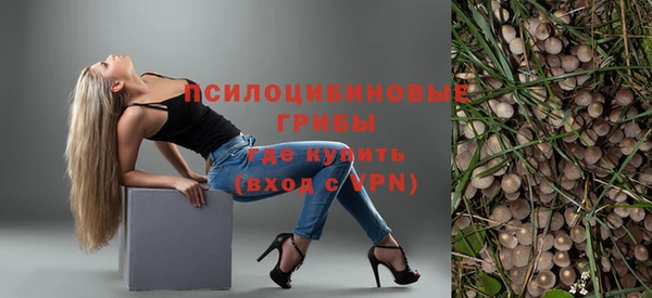 бошки Беломорск